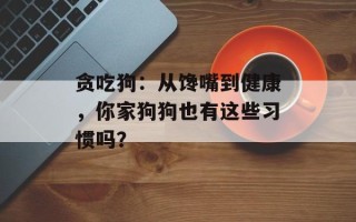 贪吃狗：从馋嘴到健康，你家狗狗也有这些习惯吗？