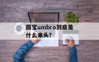 茵宝umbro到底是什么来头？