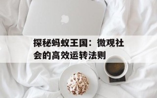 探秘蚂蚁王国：微观社会的高效运转法则