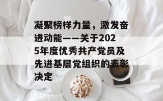 凝聚榜样力量，激发奋进动能——关于2025年度优秀共产党员及先进基层党组织的表彰决定