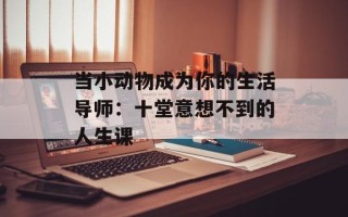 当小动物成为你的生活导师：十堂意想不到的人生课