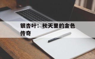 银杏叶：秋天里的金色传奇