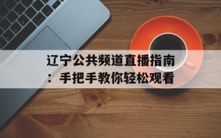 辽宁公共频道直播指南：手把手教你轻松观看