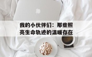 我的小伙伴们：那些照亮生命轨迹的温暖存在