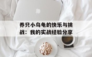 养只小乌龟的快乐与挑战：我的实战经验分享