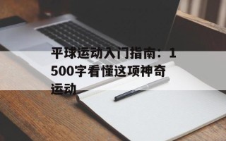平球运动入门指南：1500字看懂这项神奇运动