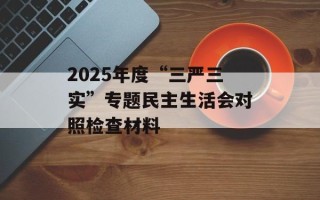 2025年度“三严三实”专题民主生活会对照检查材料