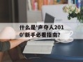 什么是'声夺人2010'新手必看指南？