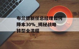 布兰德新任总经理如何降本30%_揭秘战略转型全流程