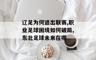 辽足为何退出联赛,职业足球困境如何破局,东北足球未来在哪