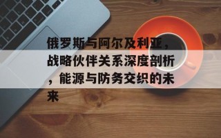 俄罗斯与阿尔及利亚，战略伙伴关系深度剖析，能源与防务交织的未来