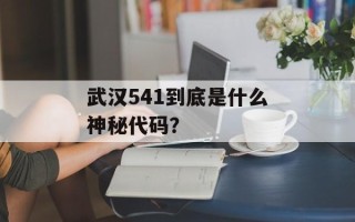 武汉541到底是什么神秘代码？