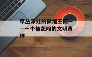 草丛深处的微缩王国——一个被忽略的文明奇迹