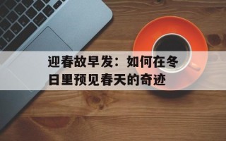 迎春故早发：如何在冬日里预见春天的奇迹