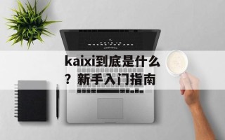 kaixi到底是什么？新手入门指南