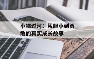 小猫过河：从胆小到勇敢的真实成长故事