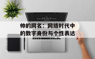 帅的网名：网络时代中的数字身份与个性表达
