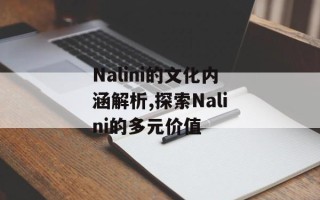 Nalini的文化内涵解析,探索Nalini的多元价值