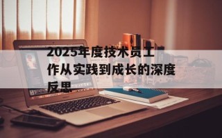 2025年度技术员工作从实践到成长的深度反思