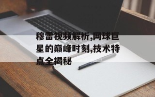 穆雷视频解析,网球巨星的巅峰时刻,技术特点全揭秘