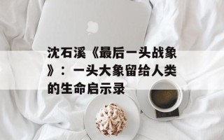 沈石溪《最后一头战象》：一头大象留给人类的生命启示录