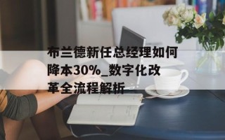 布兰德新任总经理如何降本30%_数字化改革全流程解析
