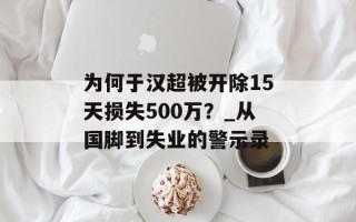 为何于汉超被开除15天损失500万？_从国脚到失业的警示录