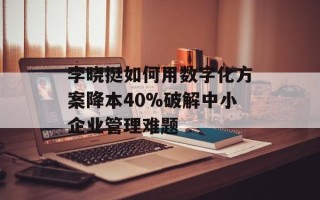 李晓挺如何用数字化方案降本40%破解中小企业管理难题
