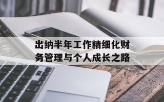 出纳半年工作精细化财务管理与个人成长之路