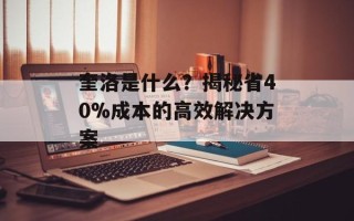 奎洛是什么？揭秘省40%成本的高效解决方案