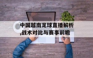 中国越南足球直播解析,战术对比与赛事前瞻