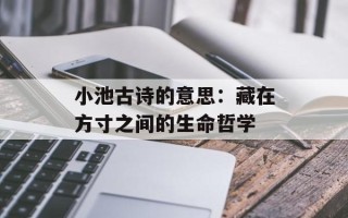 小池古诗的意思：藏在方寸之间的生命哲学