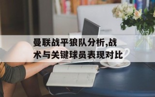 曼联战平狼队分析,战术与关键球员表现对比