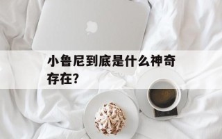 小鲁尼到底是什么神奇存在？