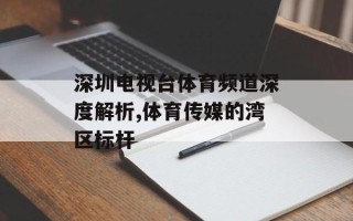 深圳电视台体育频道深度解析,体育传媒的湾区标杆