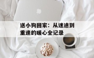 送小狗回家：从迷途到重逢的暖心全记录