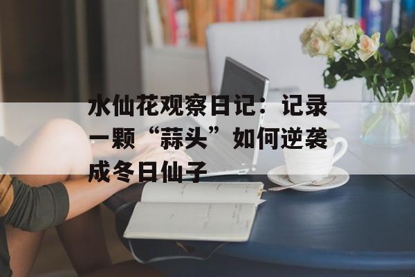 水仙花观察日记：记录一颗“蒜头”如何逆袭成冬日仙子-第1张图片-