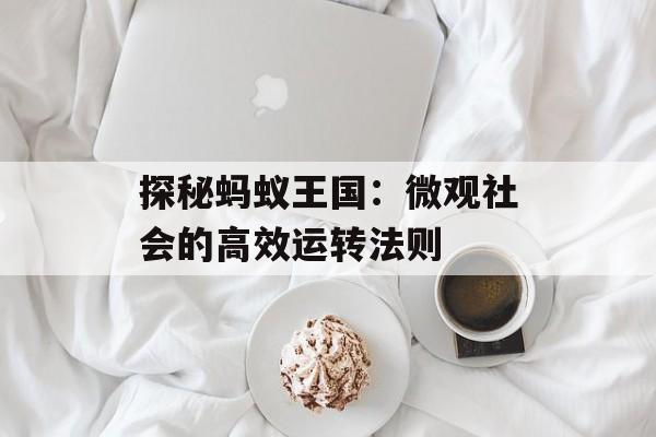 探秘蚂蚁王国:微观社会的高效运转法则-第1张图片- 探秘蚂蚁王国:微观社会的高效运转法则-第1张图片-
