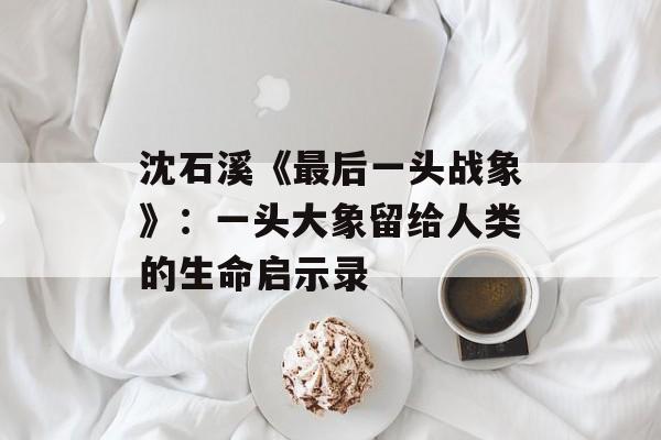 沈石溪《最后一头战象》：一头大象留给人类的生命启示录-第1张图片-