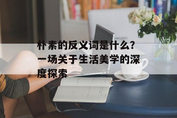 朴素的反义词是什么？一场关于生活美学的深度探索-第1张图片-