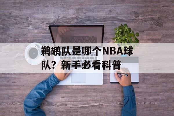 鹈鹕队是哪个NBA球队？新手必看科普-第1张图片-