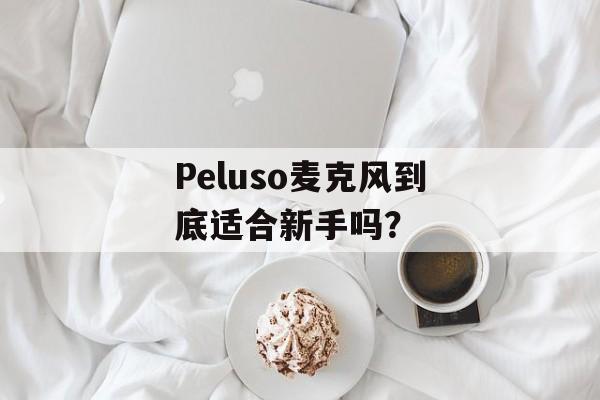 Peluso麦克风到底适合新手吗?-第1张图片- Peluso麦克风到底适合新手吗?-第1张图片-