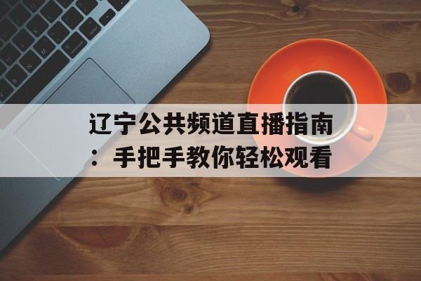 辽宁公共频道直播指南：手把手教你轻松观看-第1张图片-