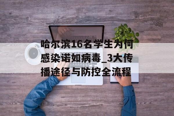 哈尔滨16名学生为何感染诺如病毒_3大传播途径与防控全流程-第1张图片-