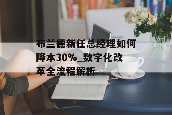 布兰德新任总经理如何降本30%_数字化改革全流程解析-第1张图片-
