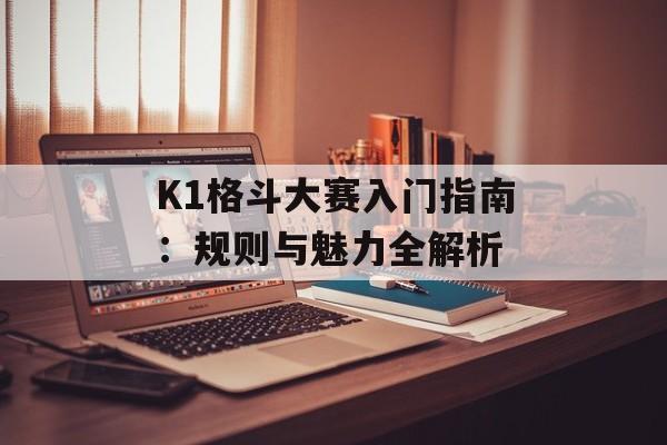 K1格斗大赛入门指南：规则与魅力全解析-第1张图片-