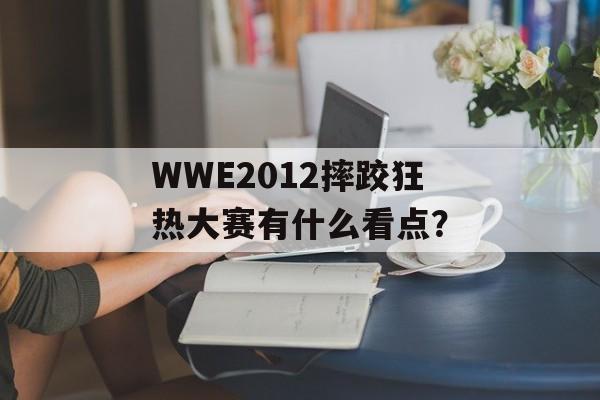WWE2012摔跤狂热大赛有什么看点？-第1张图片-